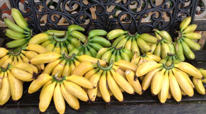 Hawaiian Apple Bananas